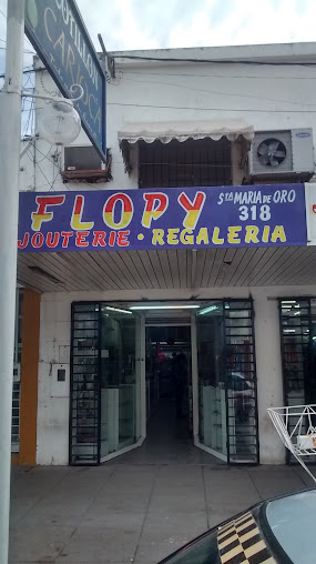 Flopy