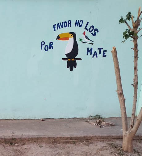 Mural de aves