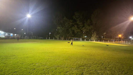 Club Social Y Deportivo Parque Daza