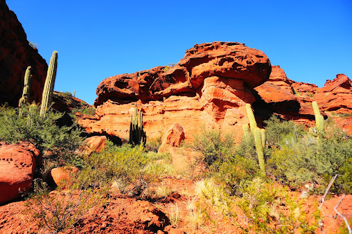 Reserva Provincial Los Colorados