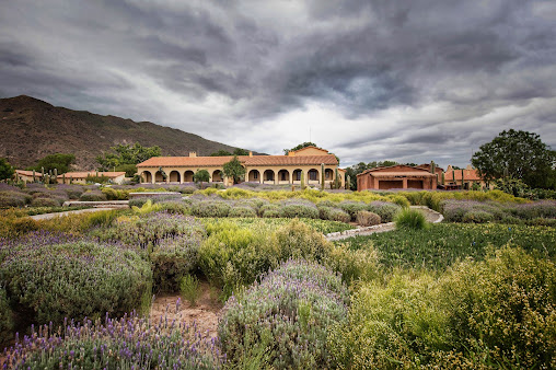 Bodega y Estancia Colomé