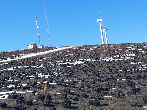 Mega Comunicaciones