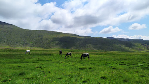 La Ciénaga