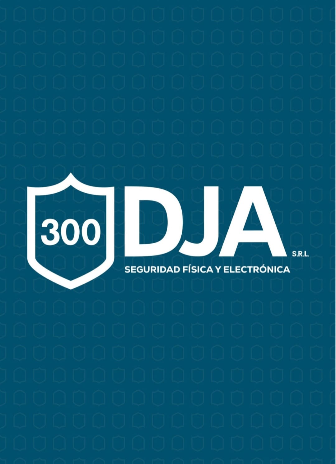 300DJA SEGURIDAD FISICA Y ELECTRONICA 